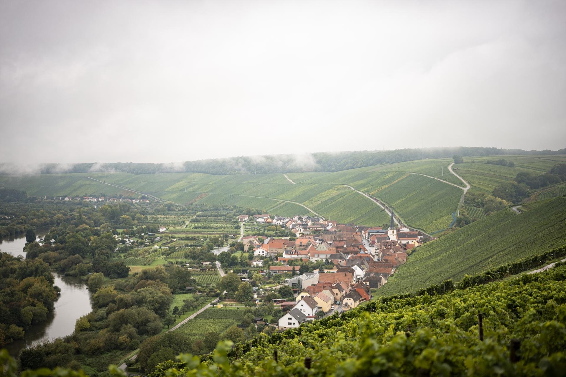 2 Naturkinder, Winery in Kitzingen