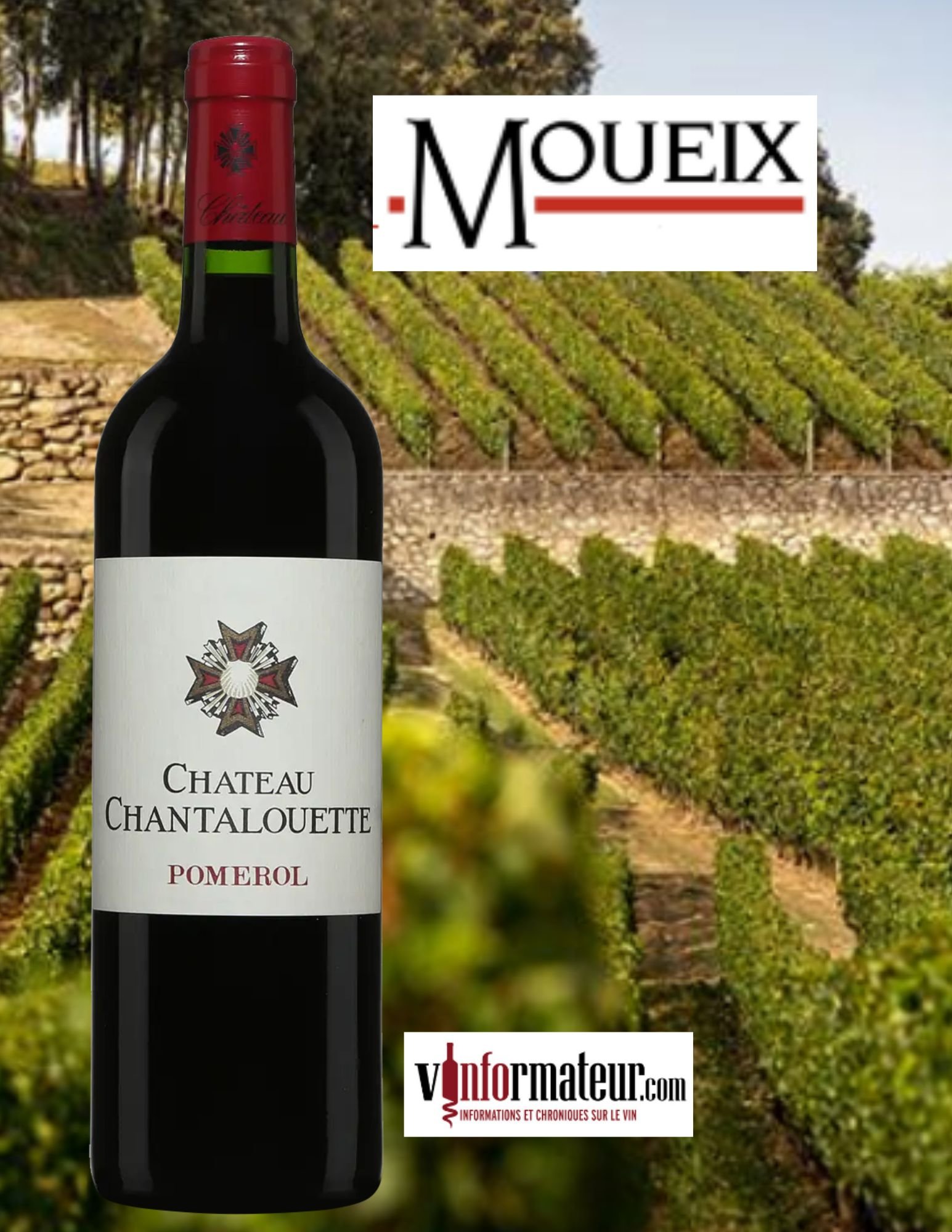 Château Chantalouette, Winery in Saint-Émilion