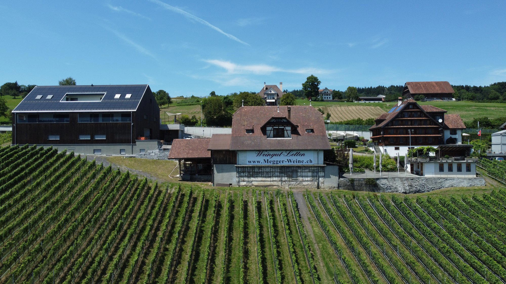 Weingut Letten winery in Meggen