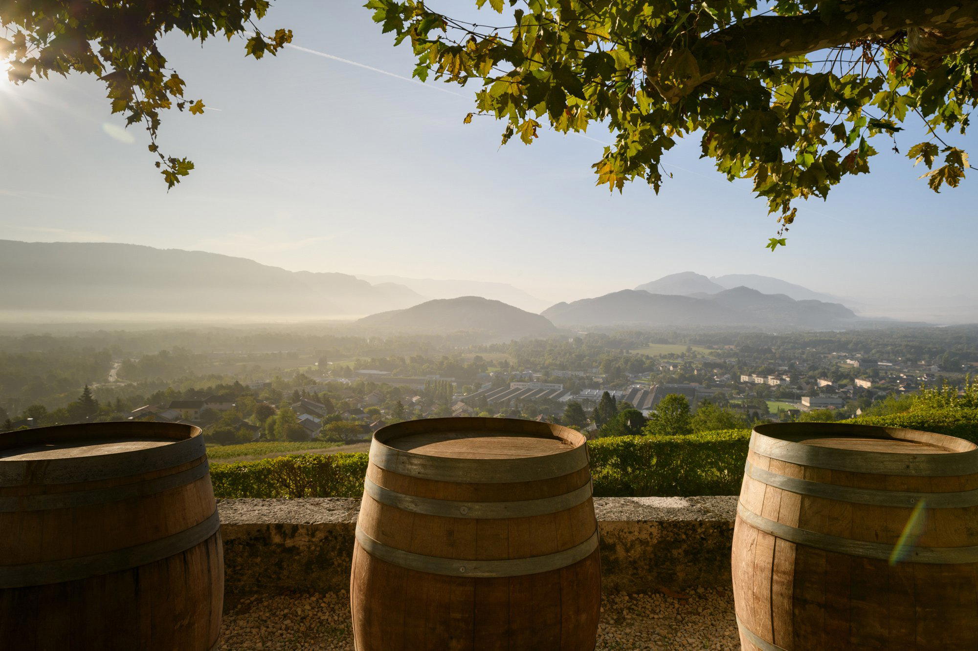 Domaine de Bel-Air winery in Culoz