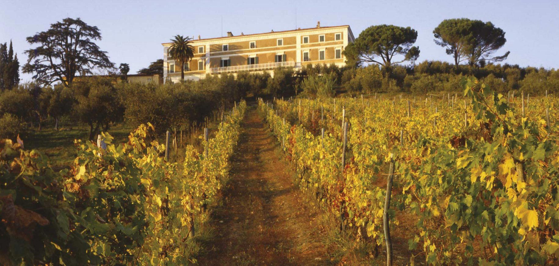 Tenuta Maria Teresa winery in Lucca