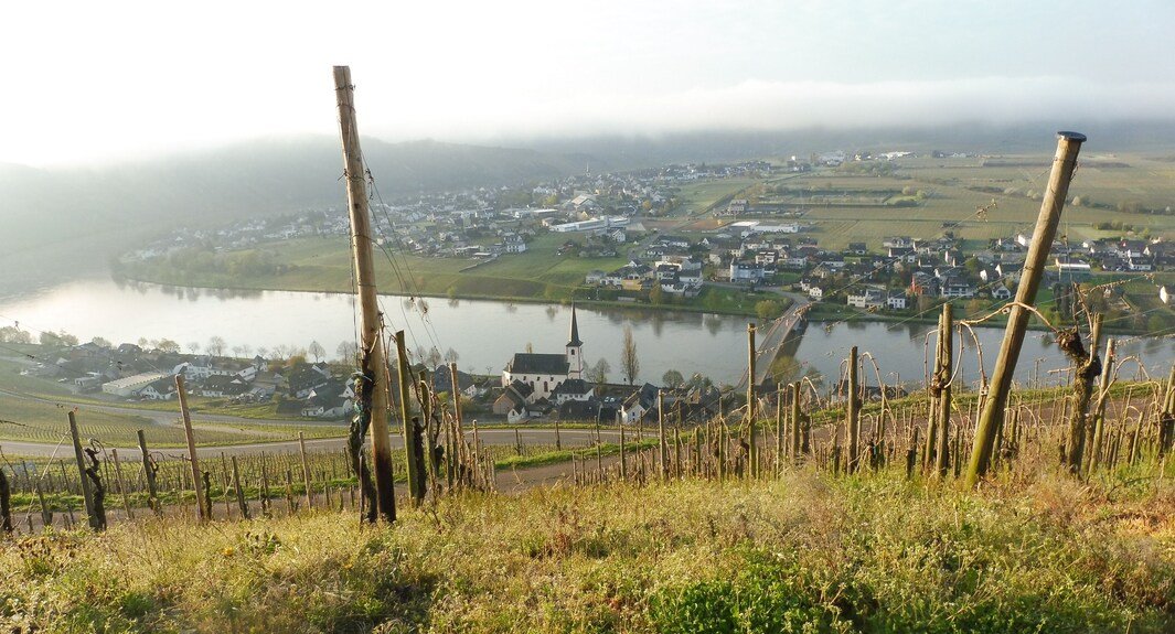 Bio Weingut Hoffmann, Minheim, Germany