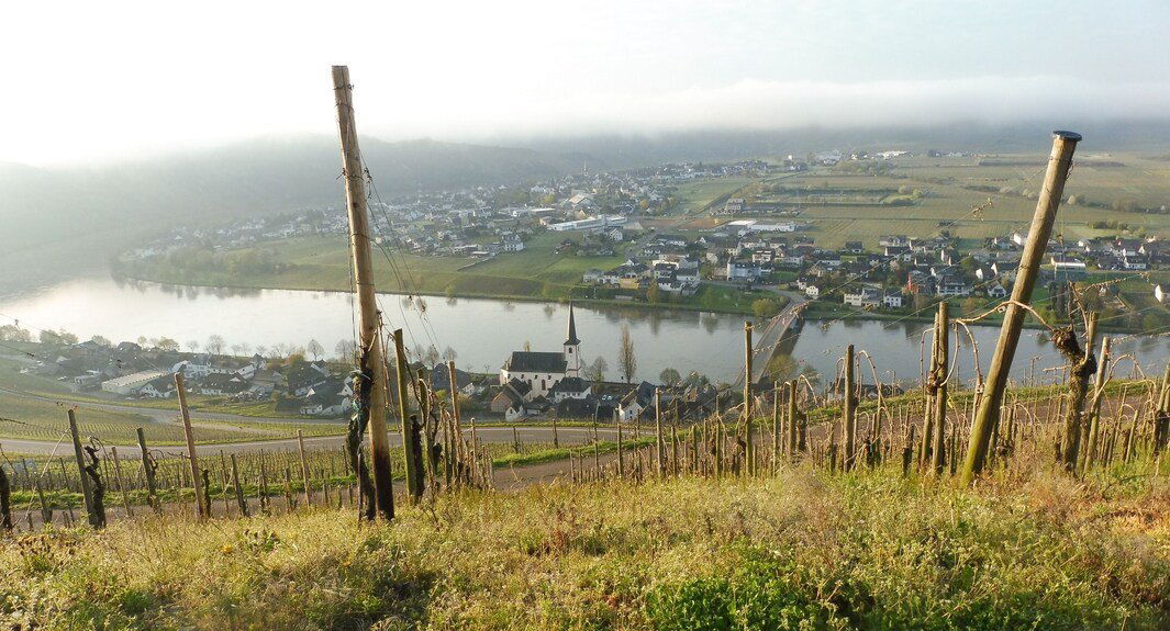Bio Weingut Hoffmann, Winery in Minheim