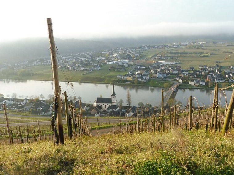 Bio Weingut Hoffmann, Minheim, Germany
