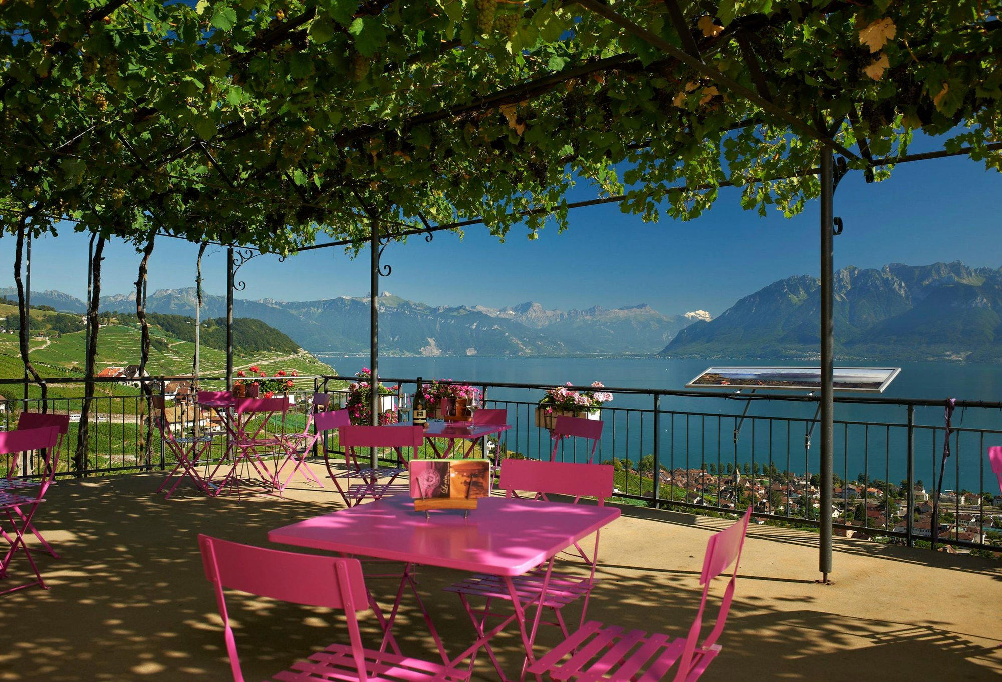 Domaine Croix-Duplex winery in Grandvaux, Switzerland
