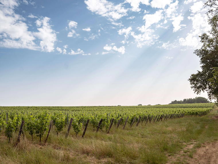 Château Le Pin Beausoleil, Saint Vincent De Pertignas, France