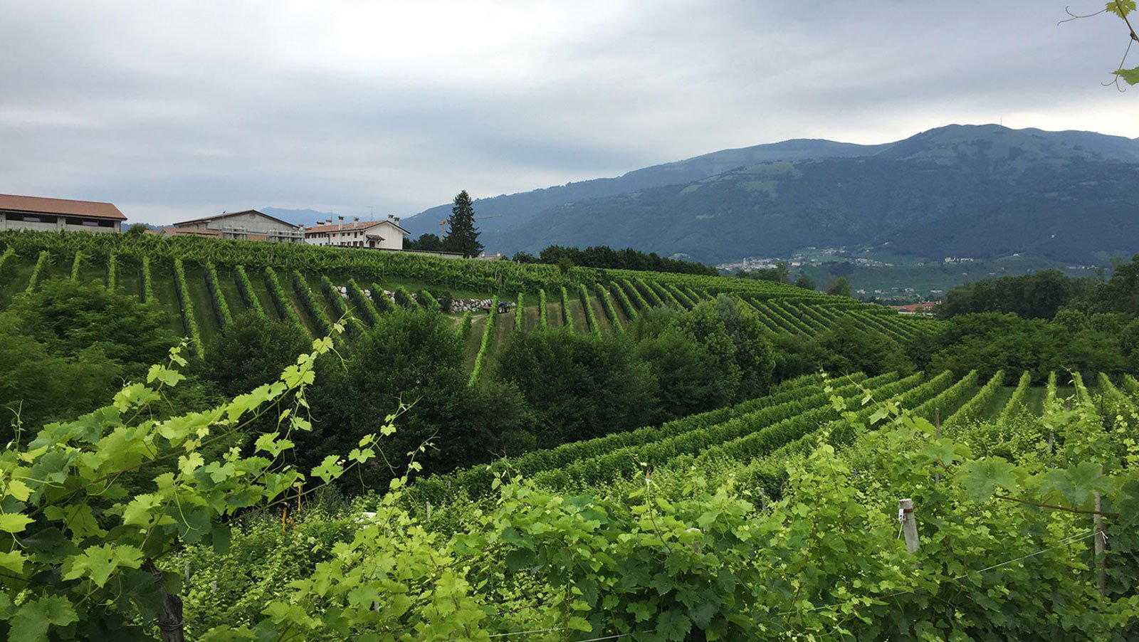 Ca' dal Molin, Valdobbiadene, Italy
