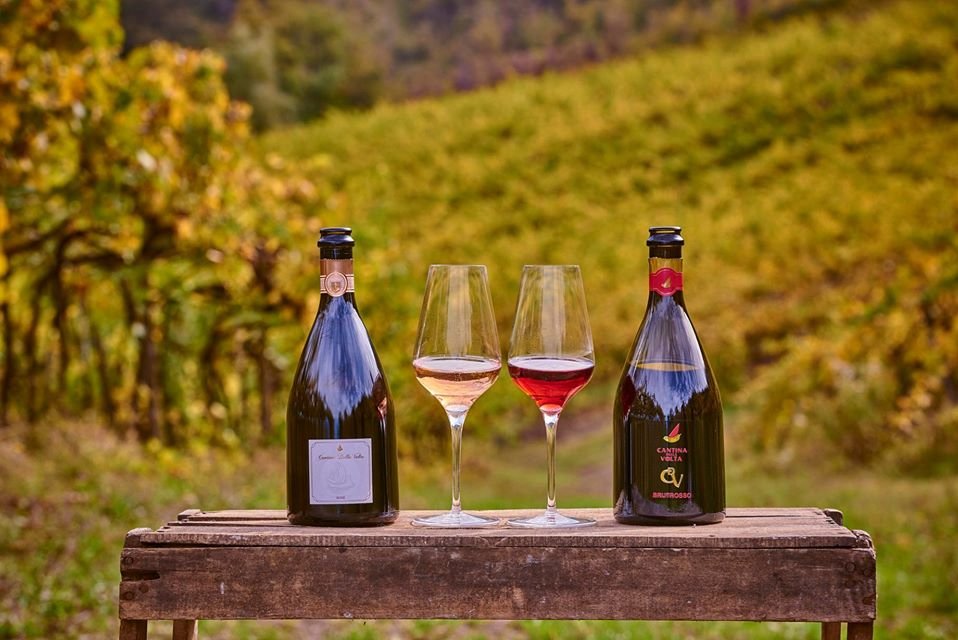 Cantina della Volta, Winery in Bomporto
