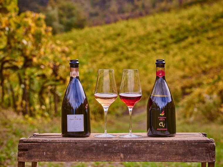 Cantina della Volta, Bomporto, Italy