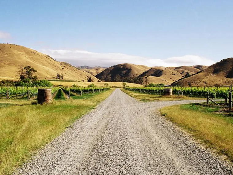 Auntsfield Estate, Blenheim, New Zealand