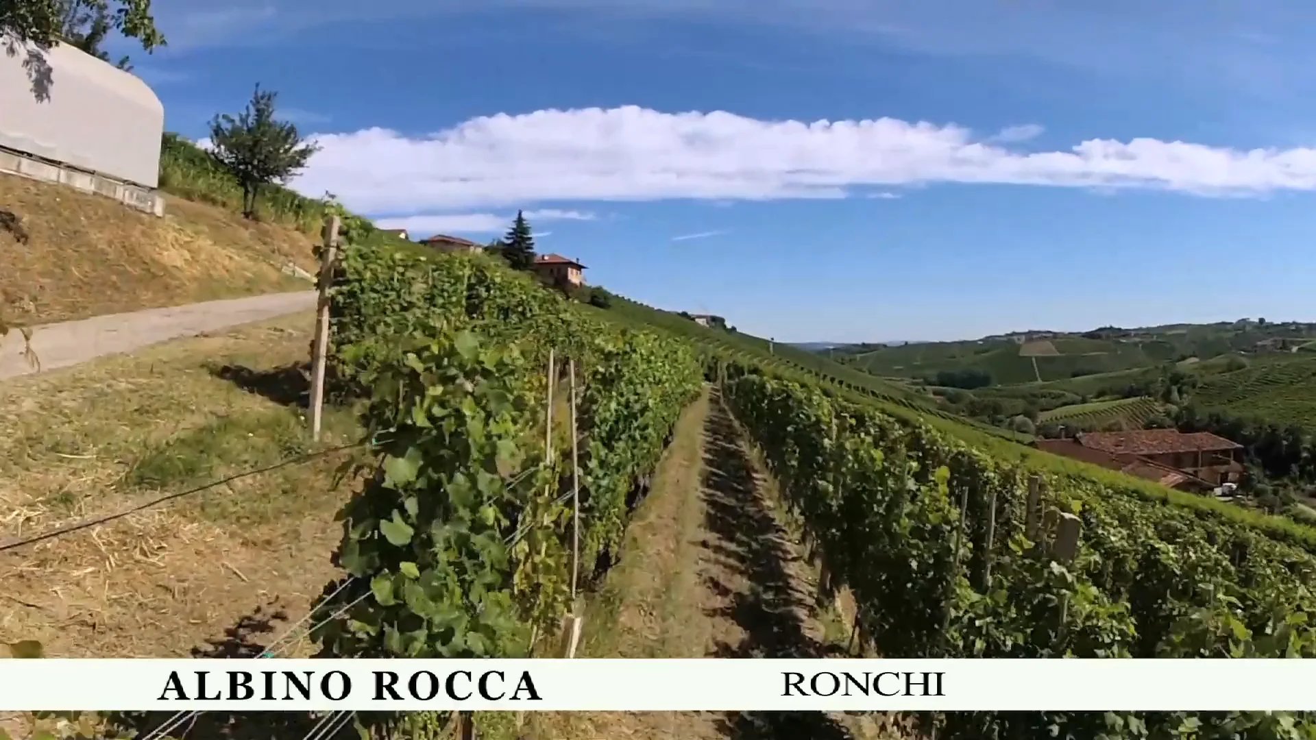 Albino Rocca