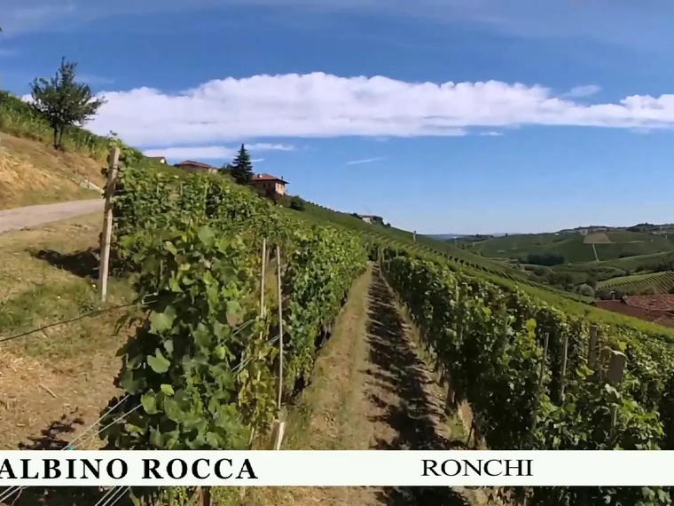 Albino Rocca, Barbaresco, Italy