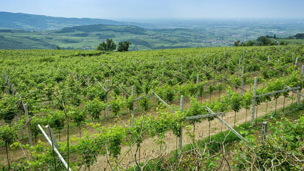 Monte Castelon winery in Marano di Valpolicella, Italy