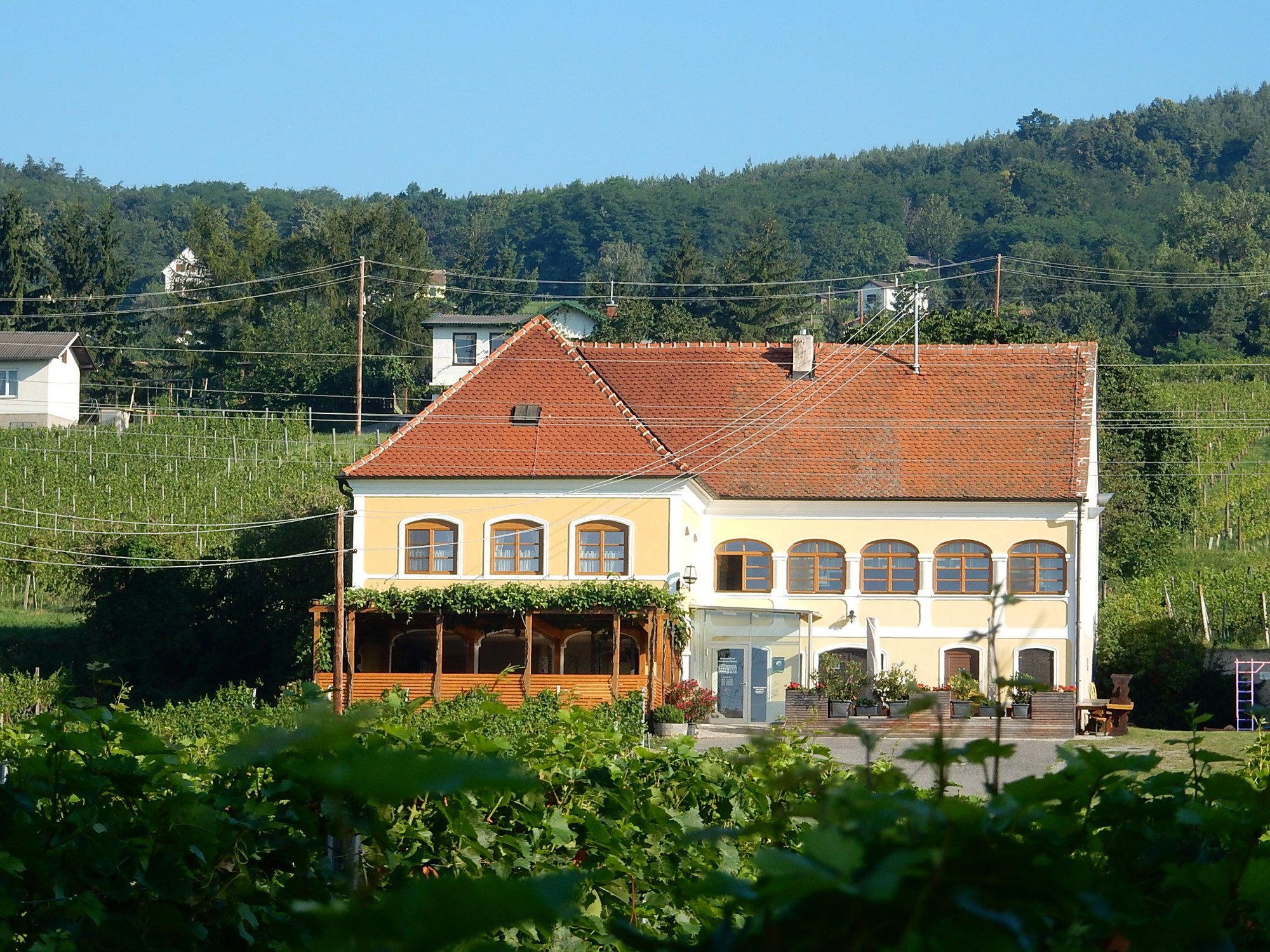 Arkadenhof Mandl-Brunner winery in Rechnitz, Austria