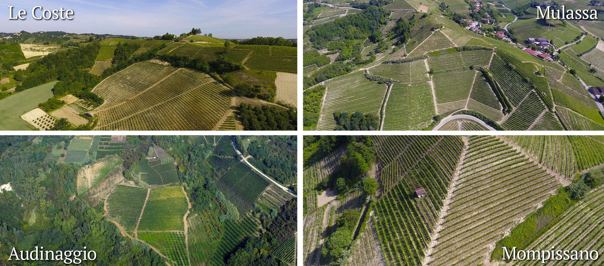 Cascina Ca' Rossa, Winery in Canale D Alba