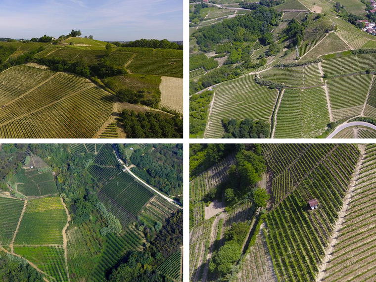 Cascina Ca' Rossa, Canale D Alba, Italy