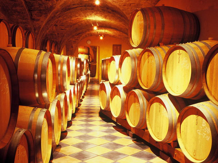 Celler Vall Llach, Porrera Tarragona, Spain