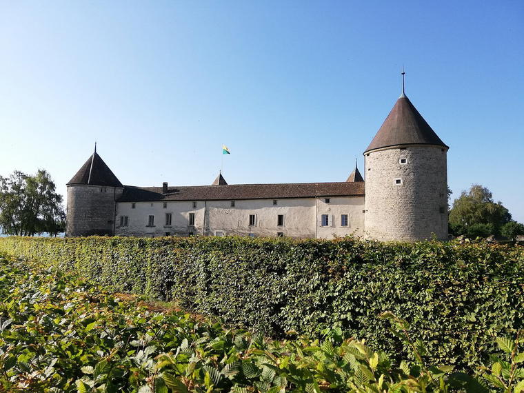 Château de Mont, Mont Sur Rolle, Switzerland