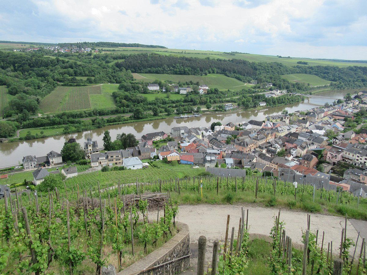 Bioweingut Ollinger-Gelz winery in Perl
