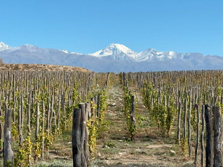 Altos Las Hormigas, Mendoza, Argentina