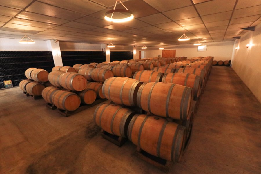 Château les Ormes Sorbet, Winery in Couqueques