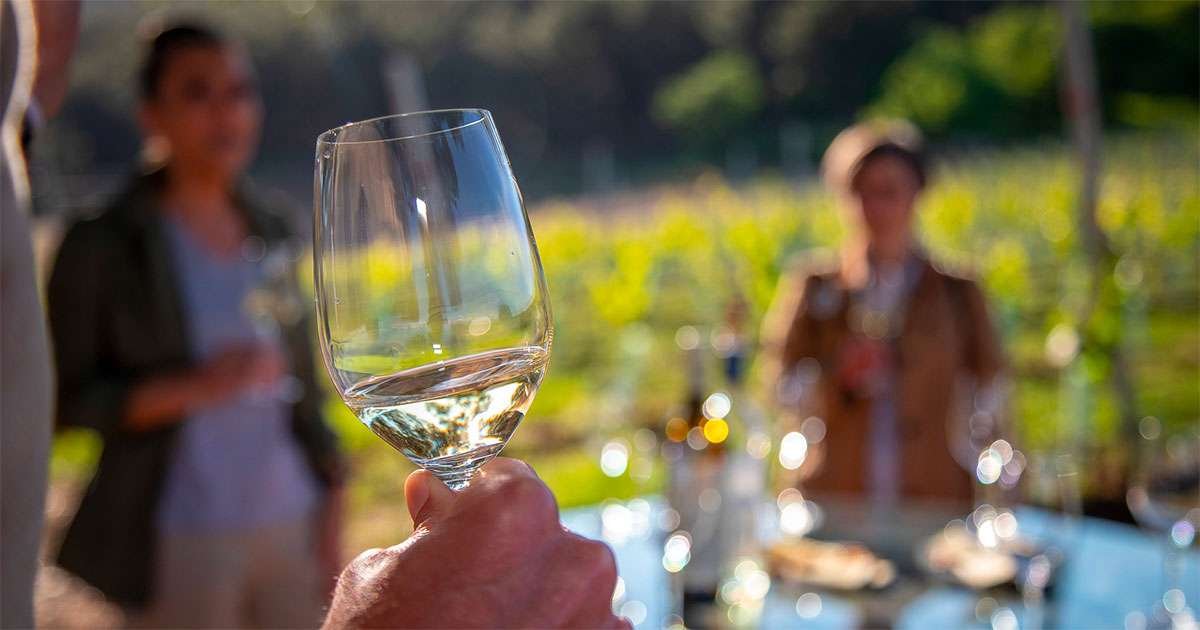 Bodegas Resalte, Winery in Peñafiel