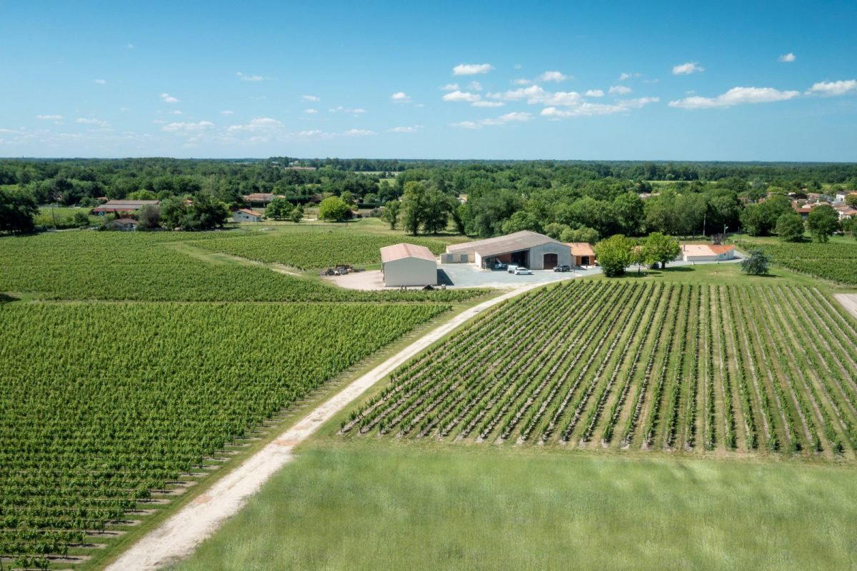 Château La Branne winery in Begadan