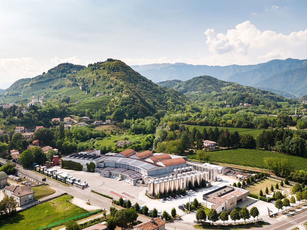 Cantina Colli Soligo, Winery in Pieve Di Soligo