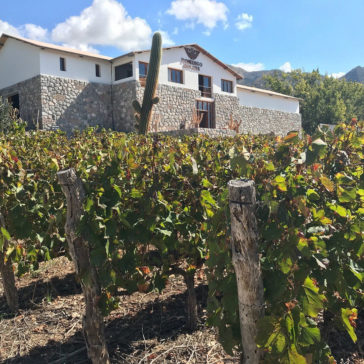 Domingo Molina, Winery in Cafayate