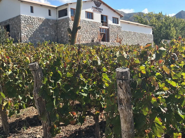 Domingo Molina, Cafayate, Argentina
