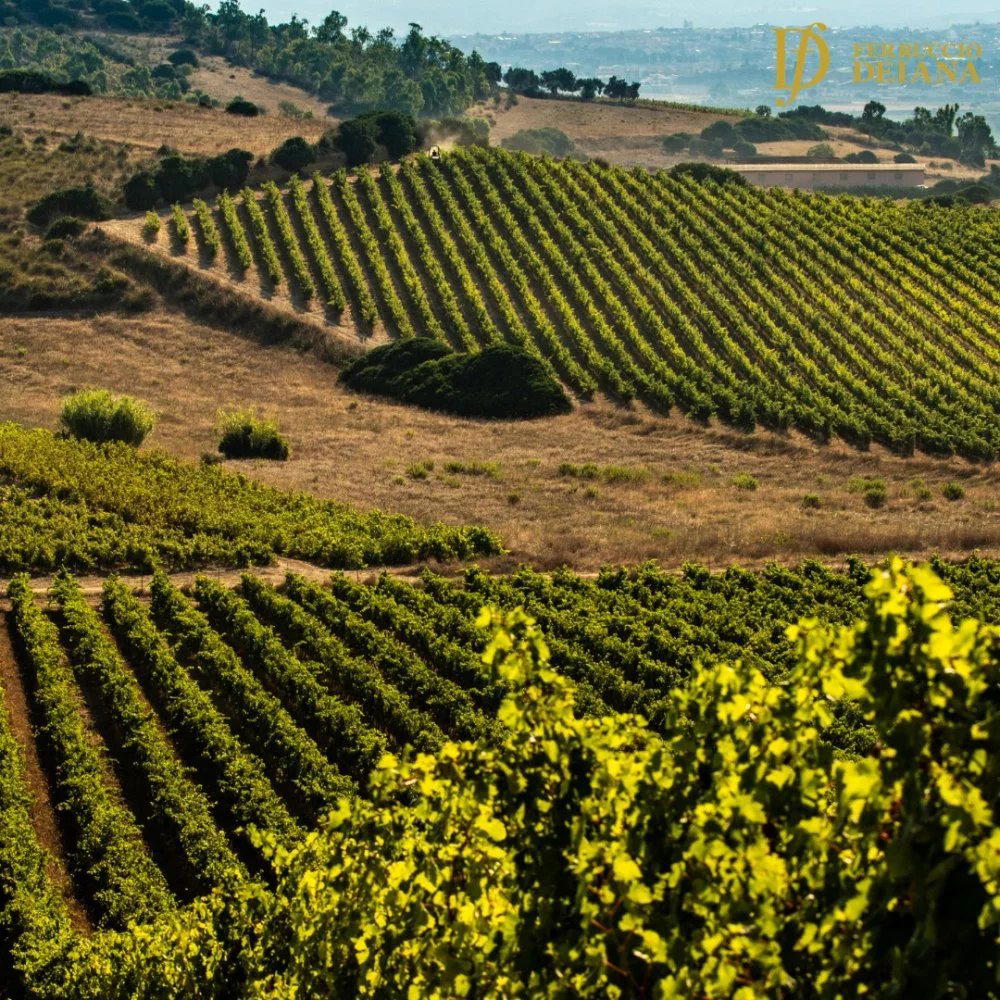 Azienda Vitivinicola Ferruccio Deiana winery in Settimo San Pietro, Italy