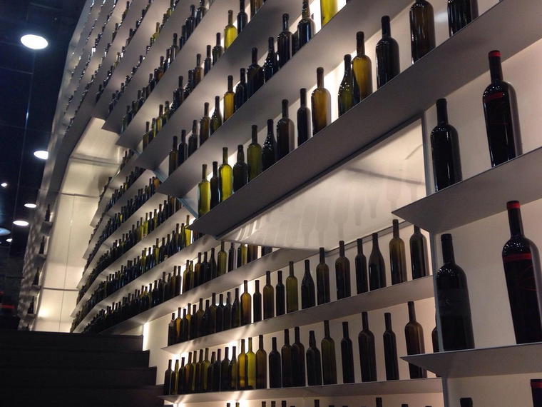BioWeingut Günter Fink, Wallern, Austria