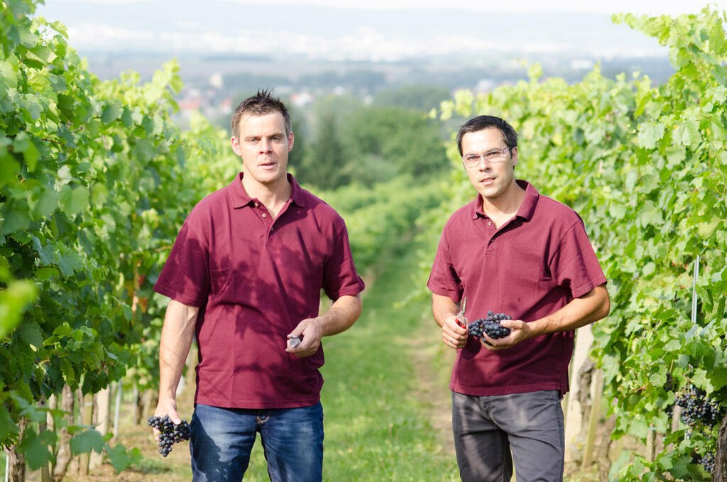 Biowein Klampfer, Eisenstadt, Austria