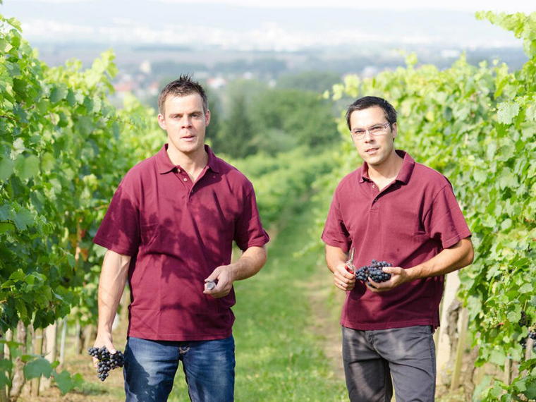 Biowein Klampfer, Eisenstadt, Austria