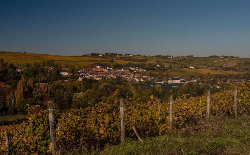Domaine Vincent Gaudry, Sury En Vaux, France