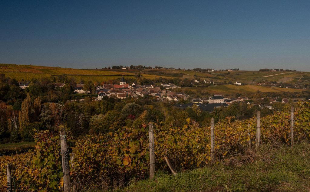 Domaine Vincent Gaudry winery in Sury En Vaux