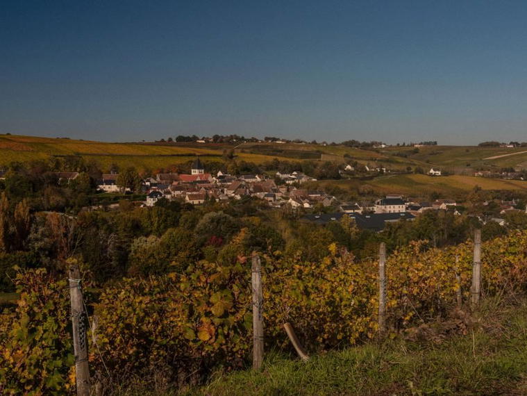 Domaine Vincent Gaudry, Sury En Vaux, France