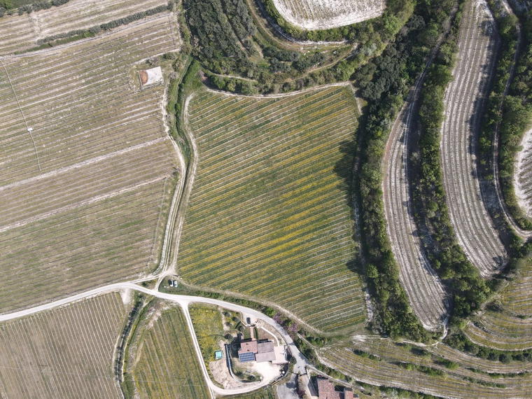 Carlo Alberto, Lavagno, Italy