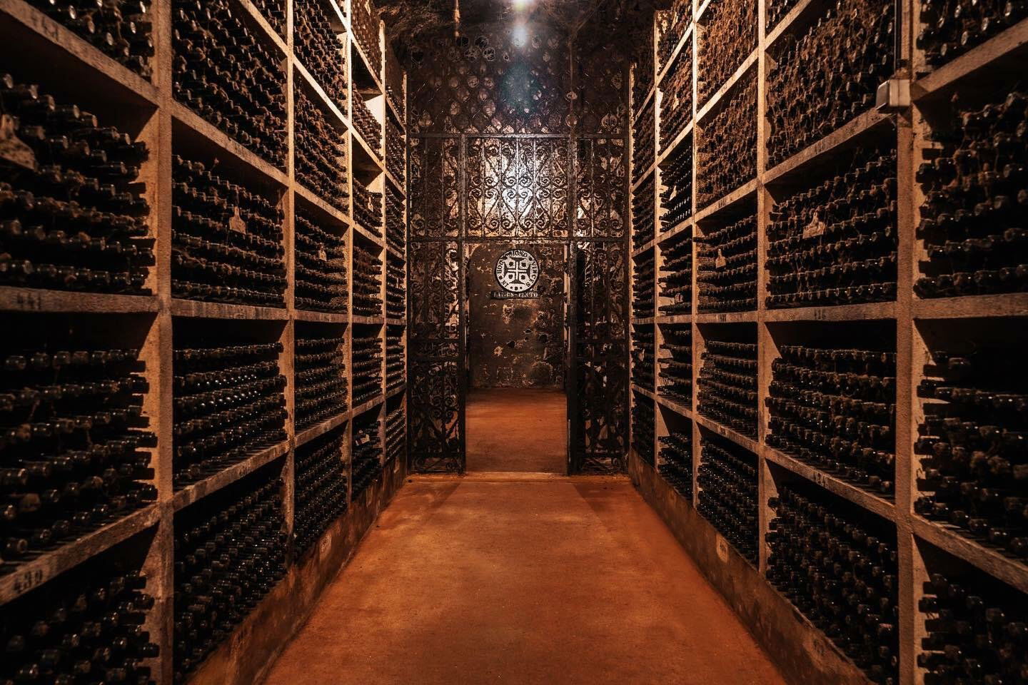 Ramos Pinto, Winery in Vila Nova de Gaia