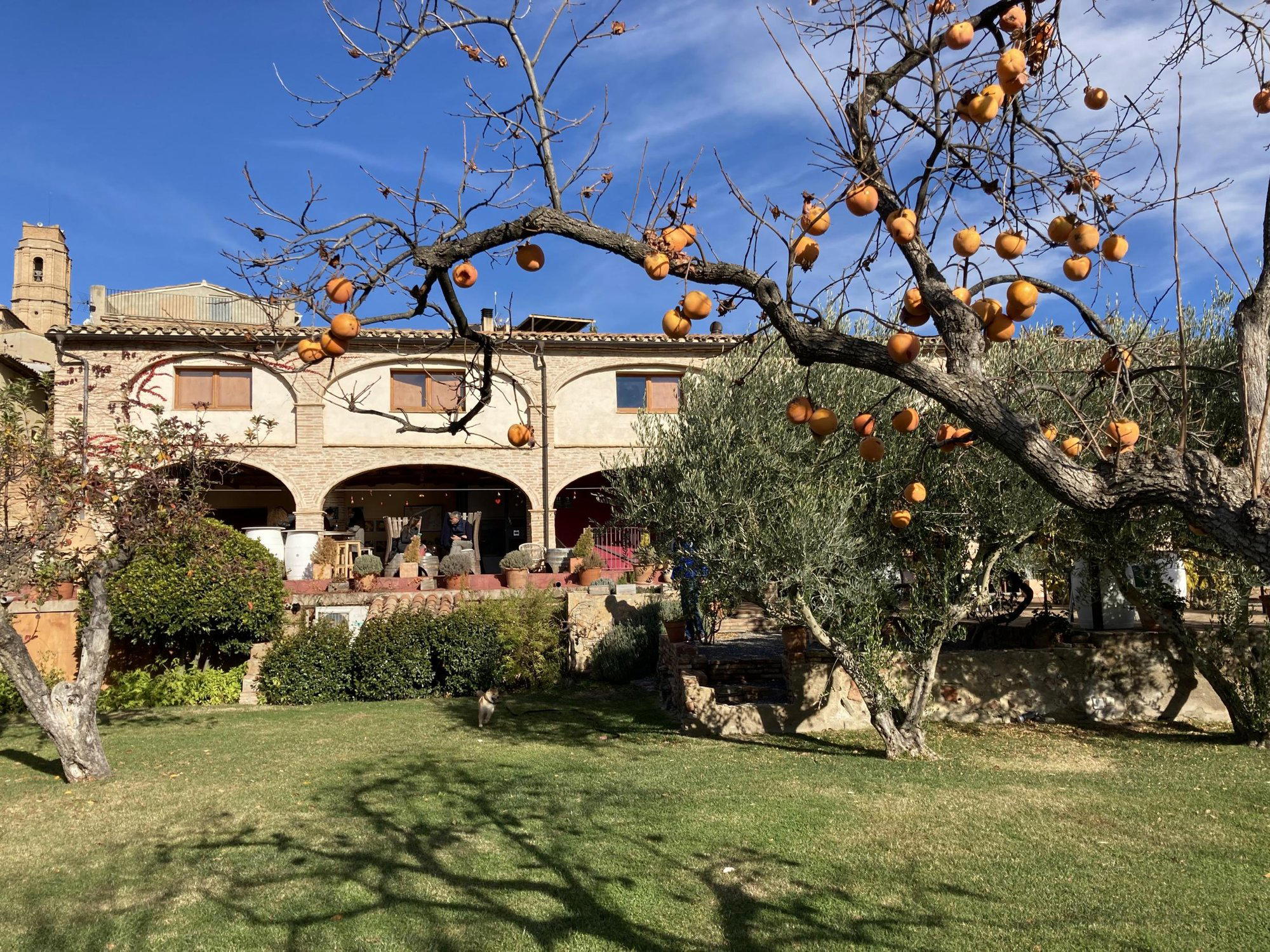 Clos Figueras winery in Gratallops