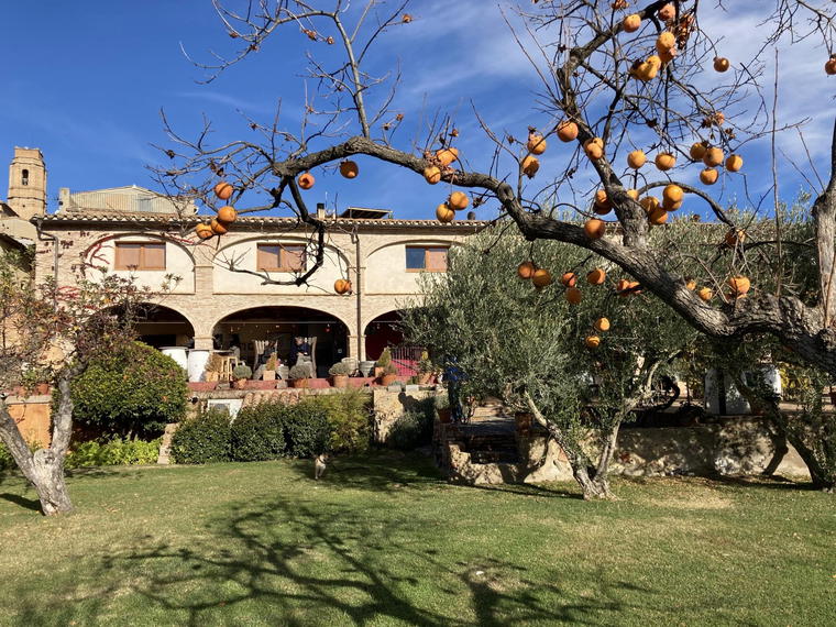 Clos Figueras, Gratallops, Spain