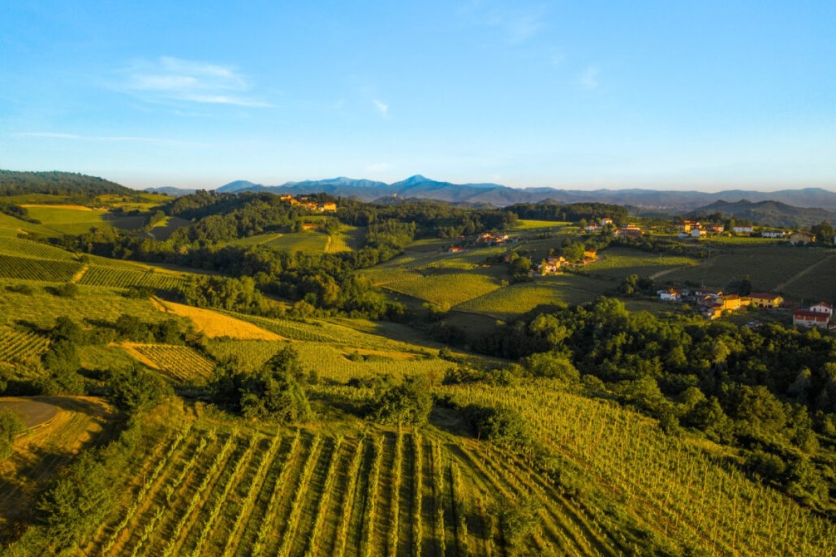 Cascina degli Ulivi