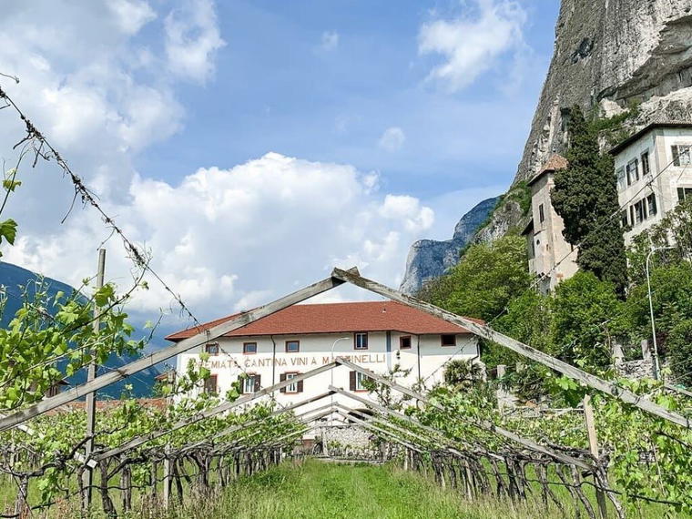 Cantina A. Martinelli 1860, Mezzocorona, Italy