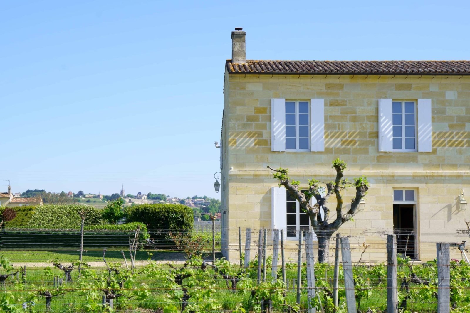 Château Ferrand Lartigue, Winery in Saint-Émilion