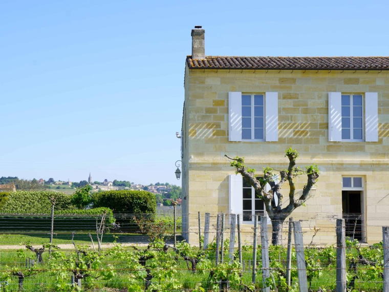 Château Ferrand Lartigue, Saint-Émilion, France