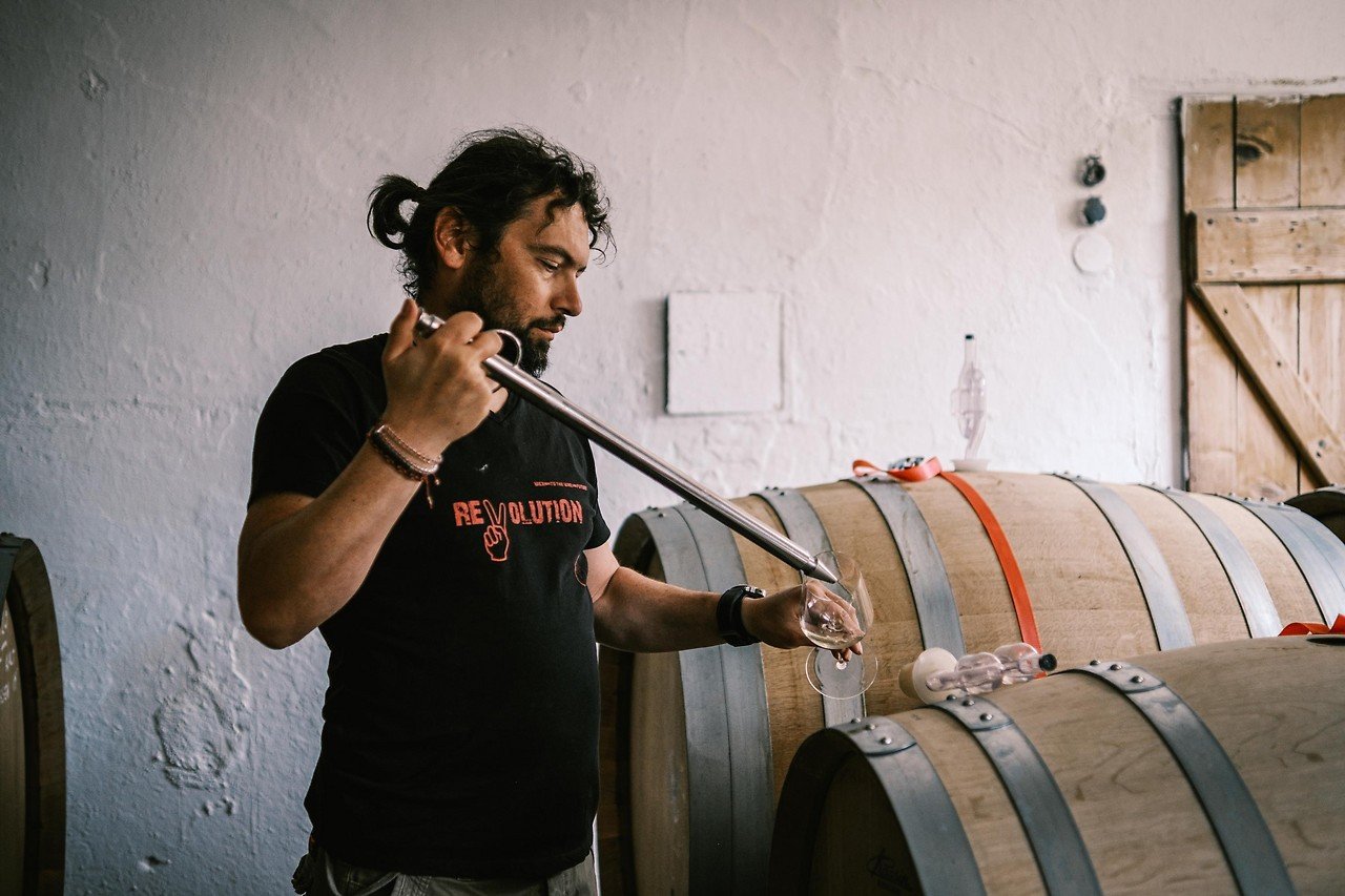 Bioweingut Johannes Zillinger, Winery in Velm Gotzendorf