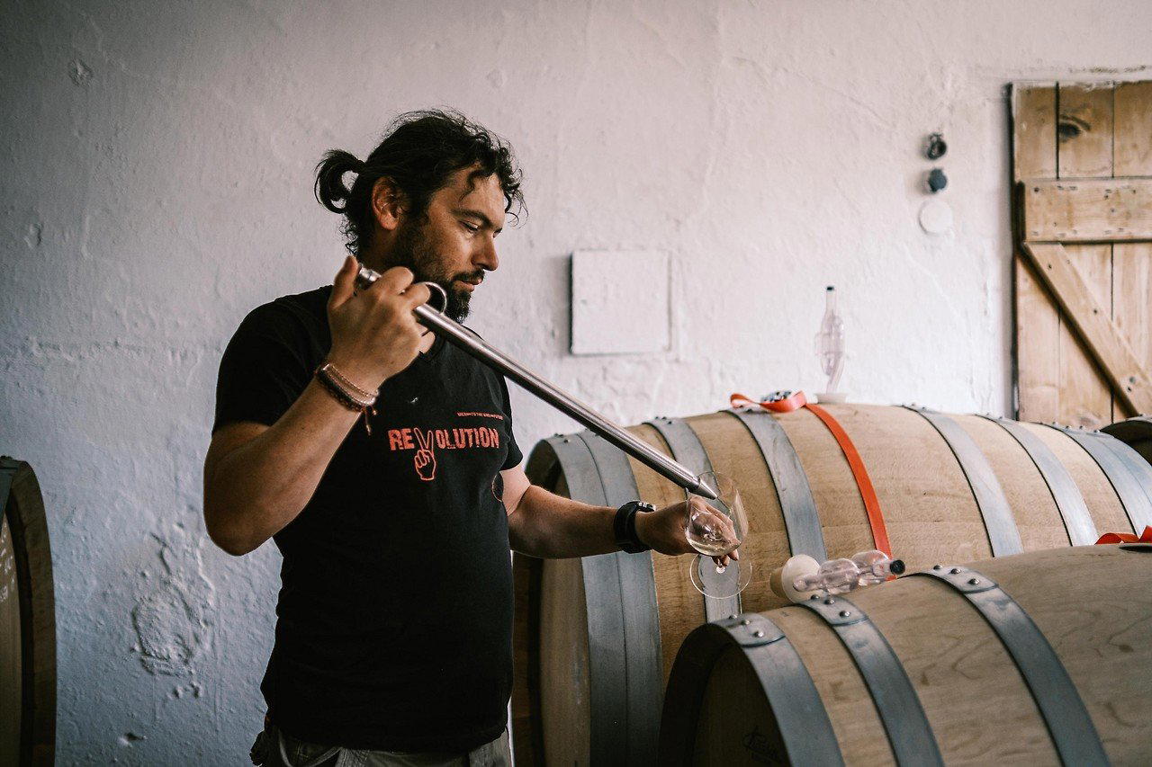 Bioweingut Johannes Zillinger winery in Velm Gotzendorf
