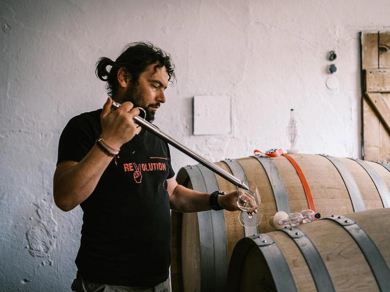 Bioweingut Johannes Zillinger, Velm Gotzendorf, Austria
