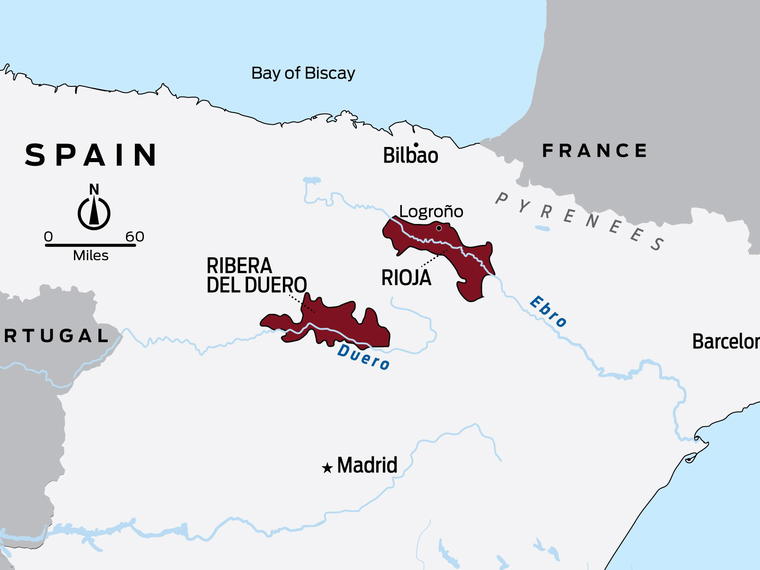 Bodegas Epifanio Rivera, Pesquera de Duero, Spain