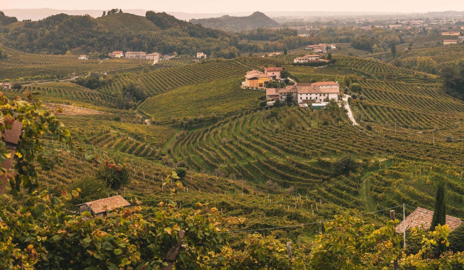 Bellussi, Winery in Valdobbiadene
